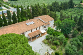 Antichi Palmenti - Alloro San Vincenzo